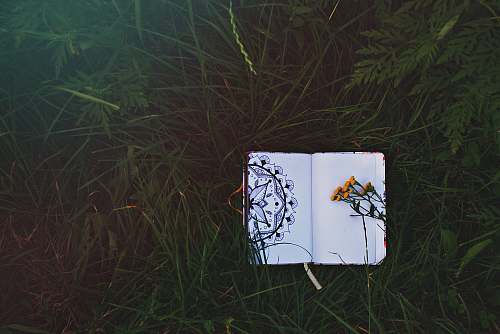 flower arrangement open book on grass ikebana